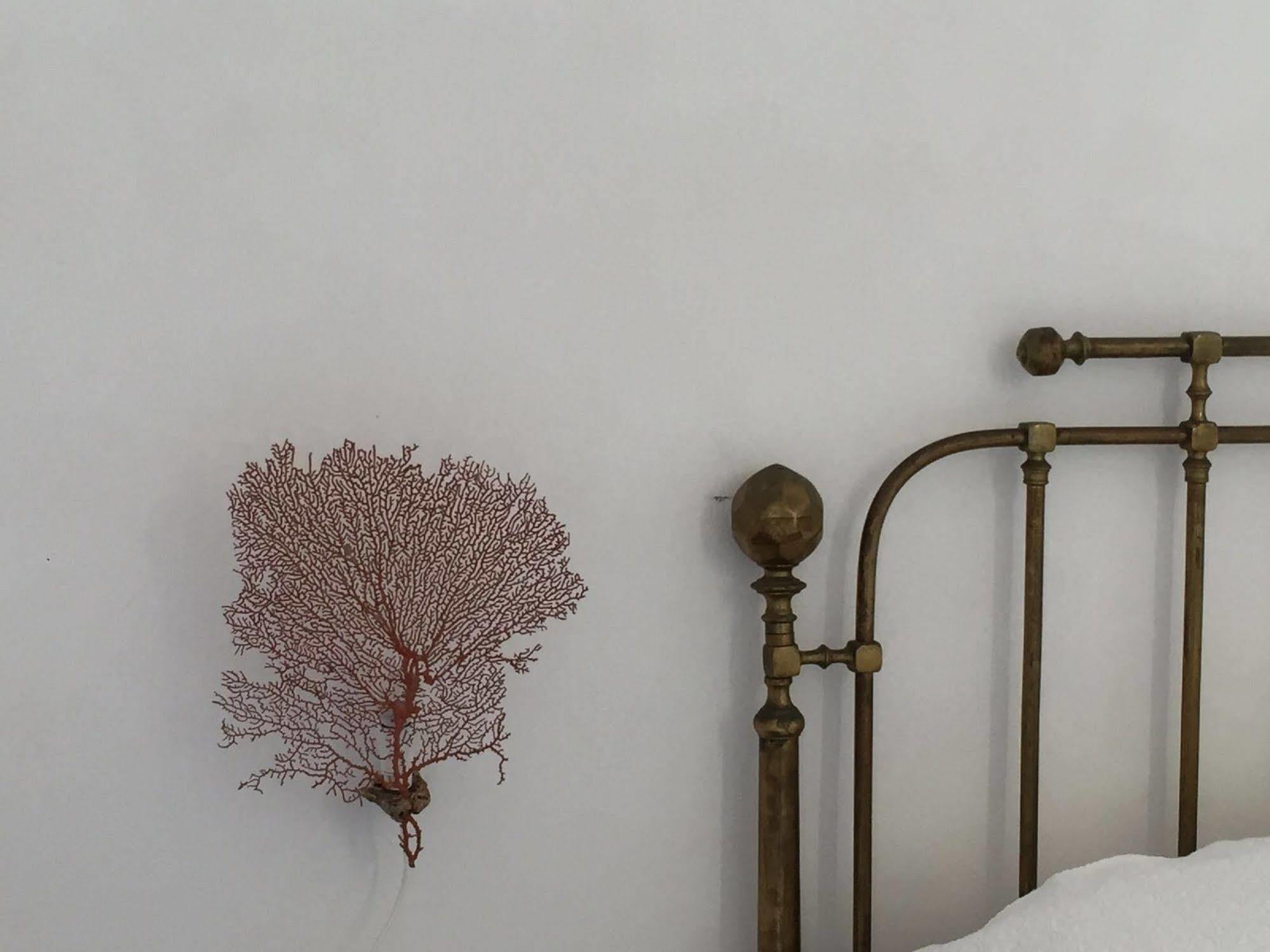 Casa Falco Della Regina Pecorini 外观 照片